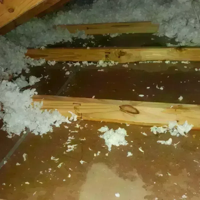 Attic Water Damage in Emporia, KS