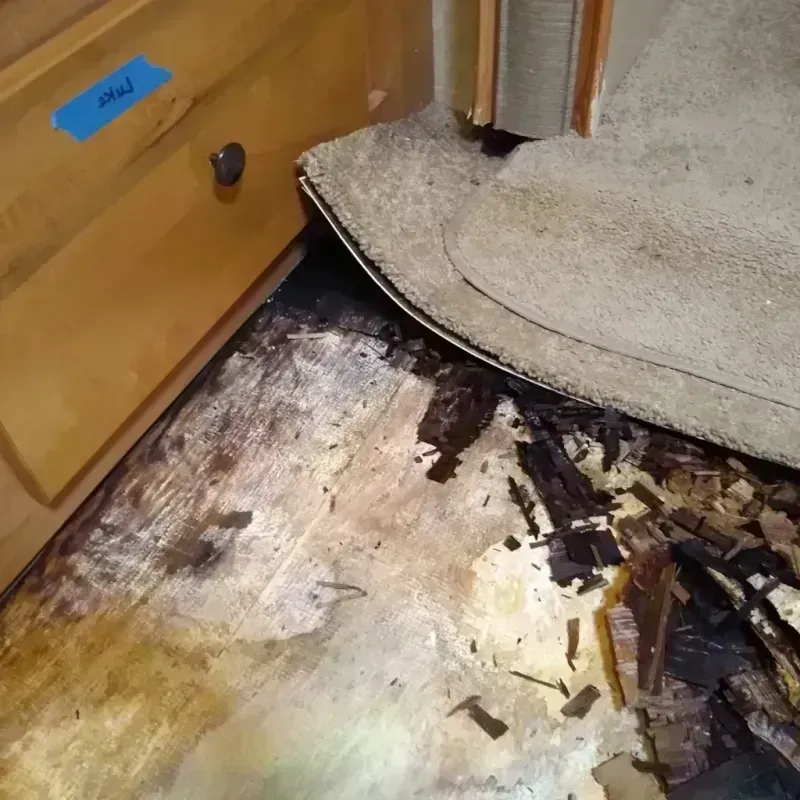 Wood Floor Water Damage in Emporia, KS